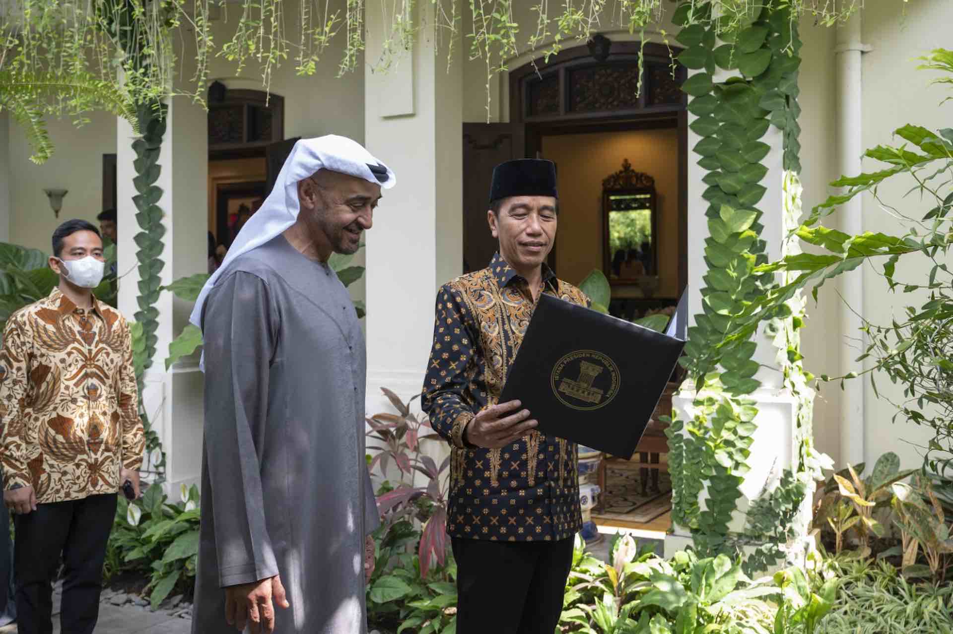 Presidents of the UAE and Indonesia discuss bilateral relations